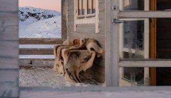 hytte vinter @Filip Gielda, Visit Greenland 2019